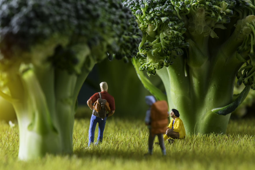 I’ve Spent More Than 5 Years Creating These Quirky Miniature Worlds (14 New Pics) I’ve Spent More Than 5 Years Creating These Quirky Miniature Worlds (14 New Pics)