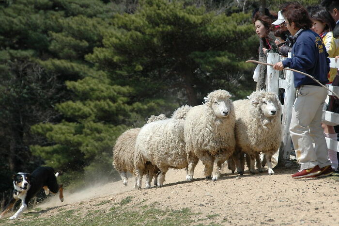 30 People In This Online Group Reveal Their Best Jokes That Hardly Ever Fail To Make Others Laugh 30 People In This Online Group Reveal Their Best Jokes That Hardly Ever Fail To Make Others Laugh