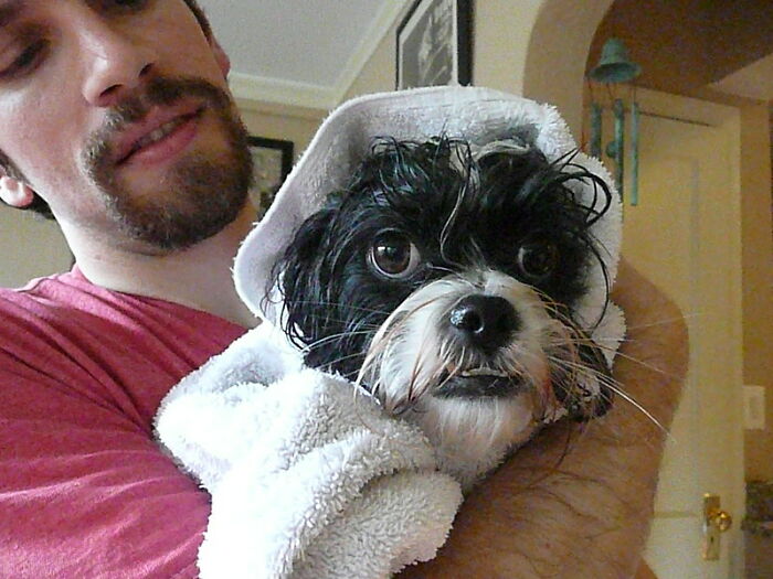 30 People In This Online Group Reveal Their Best Jokes That Hardly Ever Fail To Make Others Laugh 30 People In This Online Group Reveal Their Best Jokes That Hardly Ever Fail To Make Others Laugh