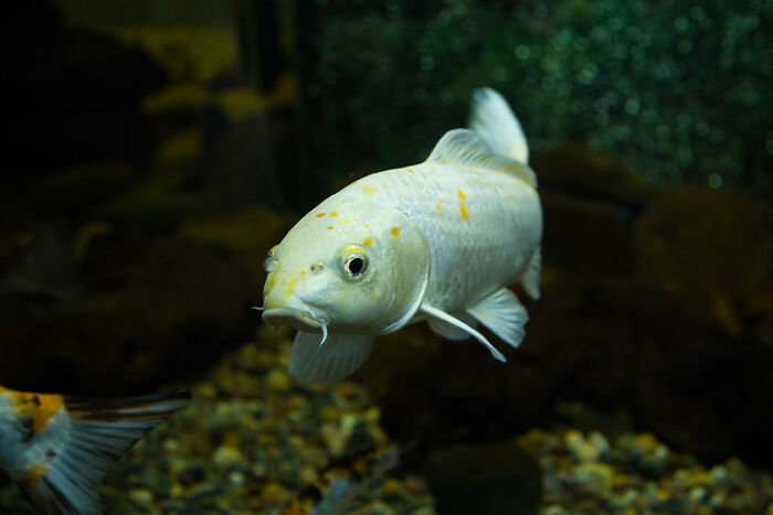 30 People In This Online Group Reveal Their Best Jokes That Hardly Ever Fail To Make Others Laugh 30 People In This Online Group Reveal Their Best Jokes That Hardly Ever Fail To Make Others Laugh