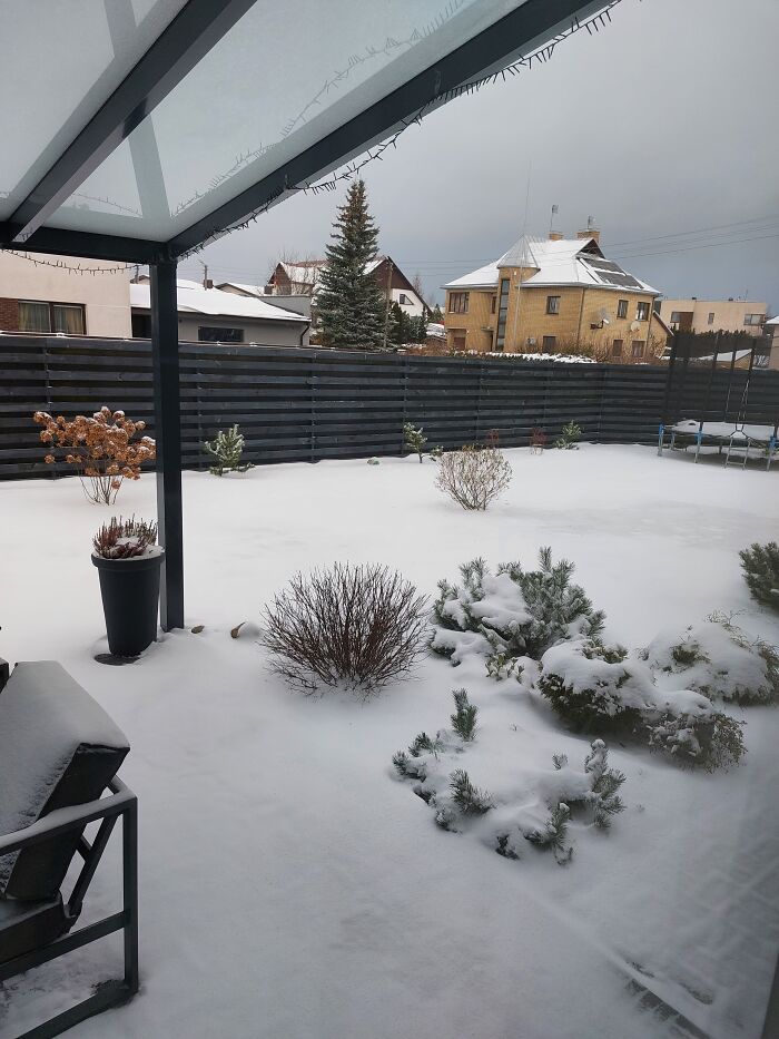 Hey Pandas, Post Pics Of The First Snow (Closed) Hey Pandas, Post Pics Of The First Snow (Closed)