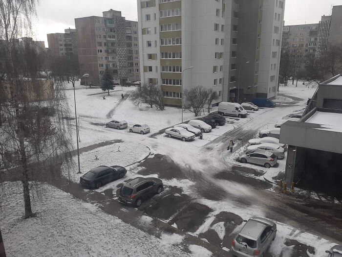 Hey Pandas, Post Pics Of The First Snow (Closed) Hey Pandas, Post Pics Of The First Snow (Closed)