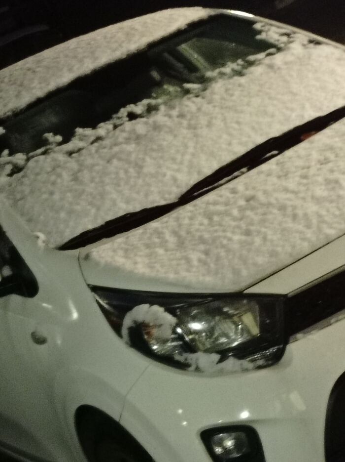 Hey Pandas, Post Pics Of The First Snow (Closed) Hey Pandas, Post Pics Of The First Snow (Closed)