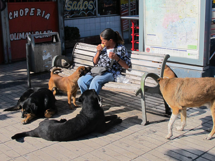 30 Folks In This Online Group Share How Their “Neighbors From Hell” Earned Their Name 30 Folks In This Online Group Share How Their “Neighbors From Hell” Earned Their Name