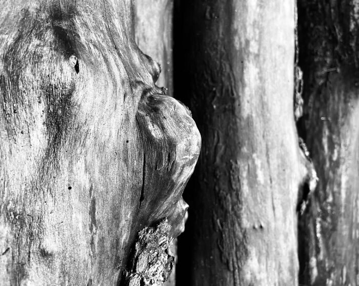 Hey Pandas, Post Your Favorite Black And White Pics (Closed)