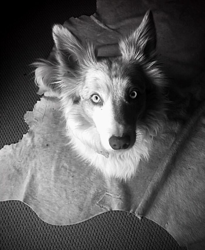 Hey Pandas, Post Your Favorite Black And White Pics (Closed)