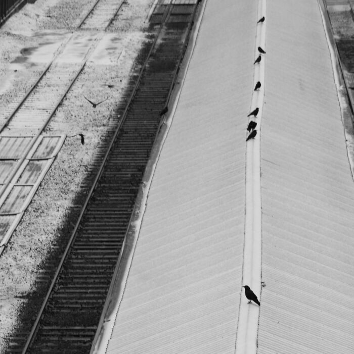 Hey Pandas, Post Your Favorite Black And White Pics (Closed)