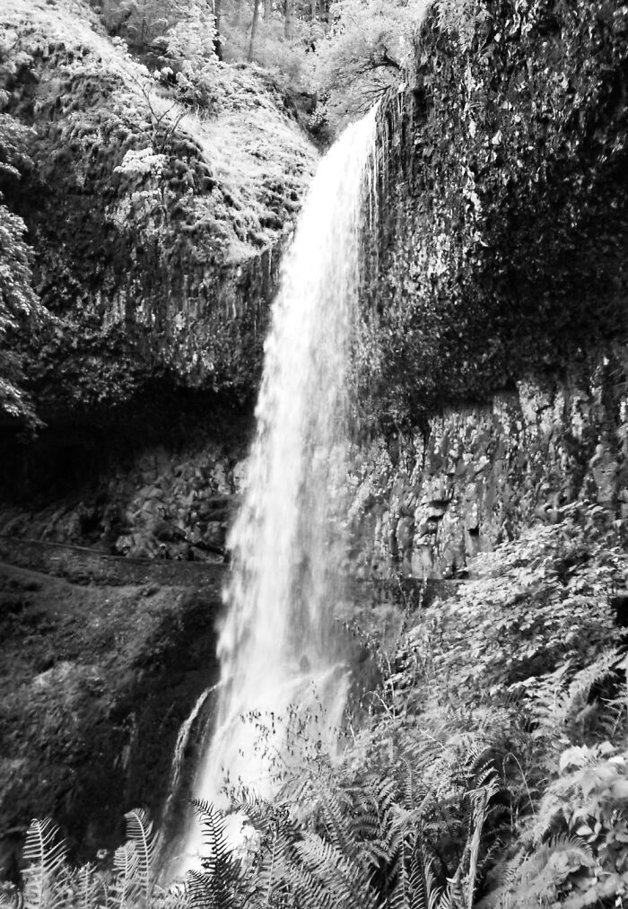 Hey Pandas, Post Your Favorite Black And White Pics (Closed)