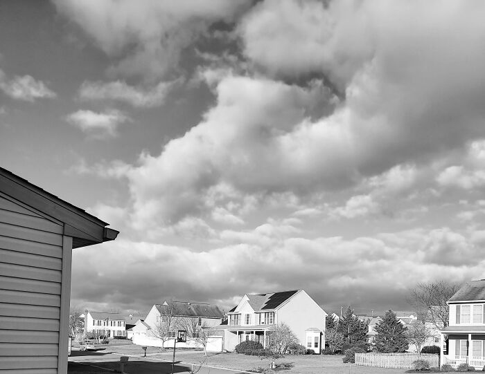 Hey Pandas, Post Your Favorite Black And White Pics (Closed)