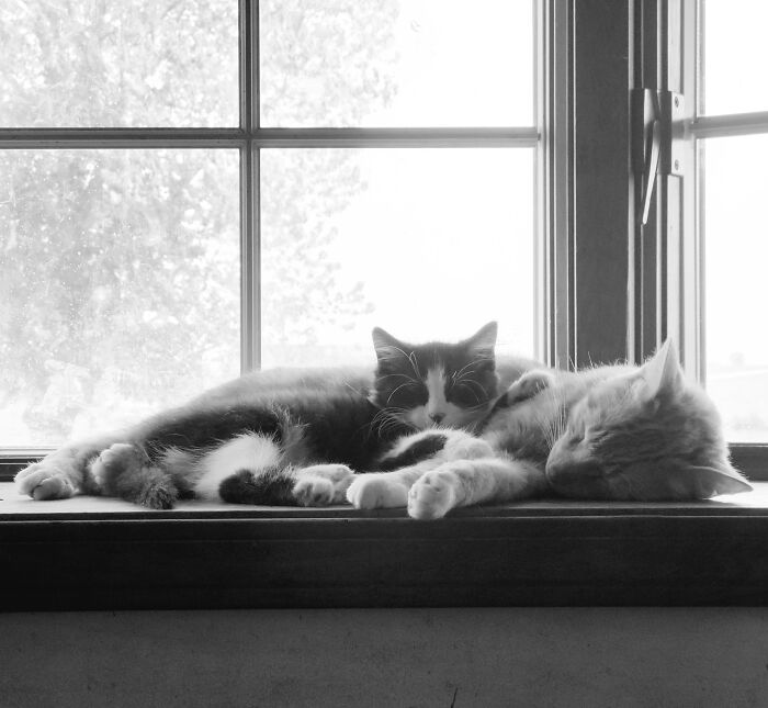 Hey Pandas, Post Your Favorite Black And White Pics (Closed)