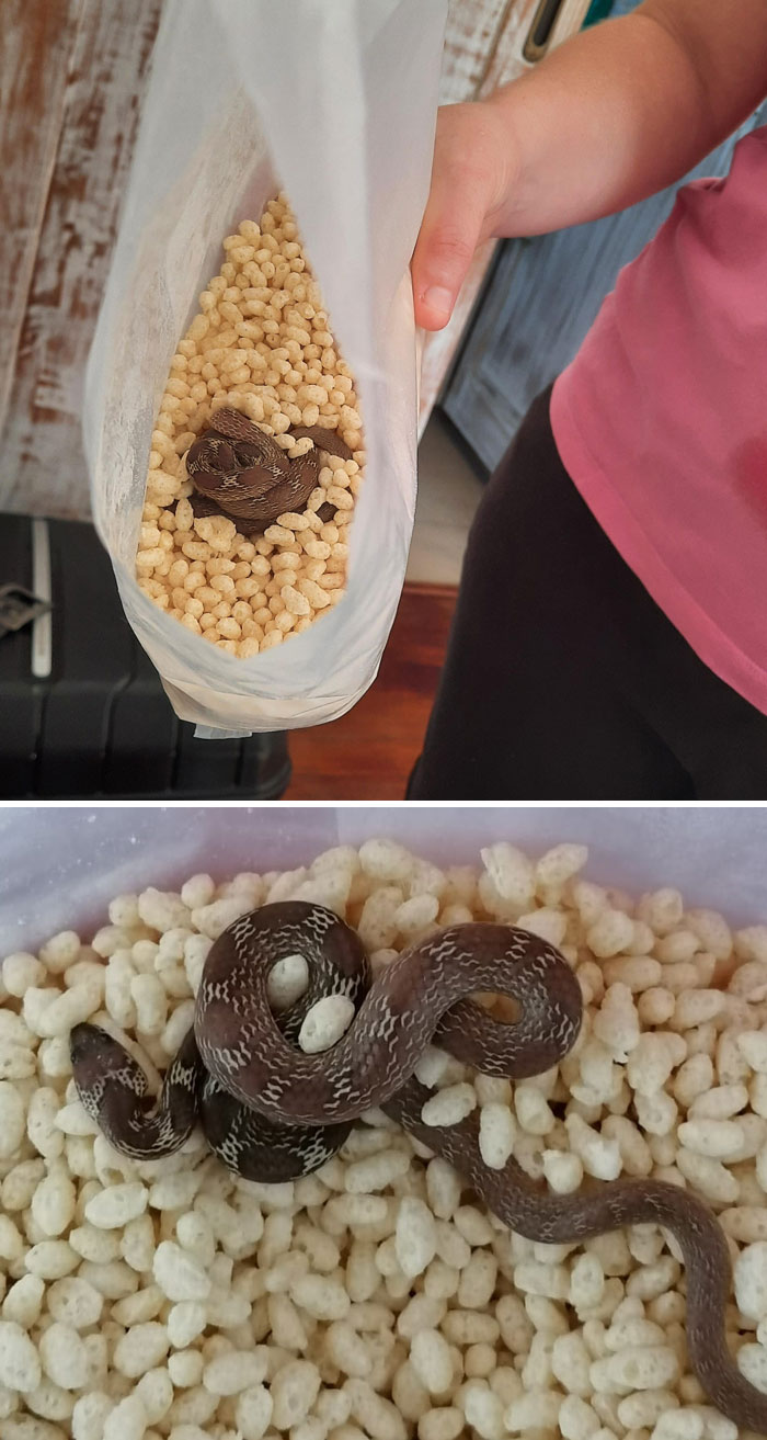 50 People Having A Pretty Miserable Day (New Pics)