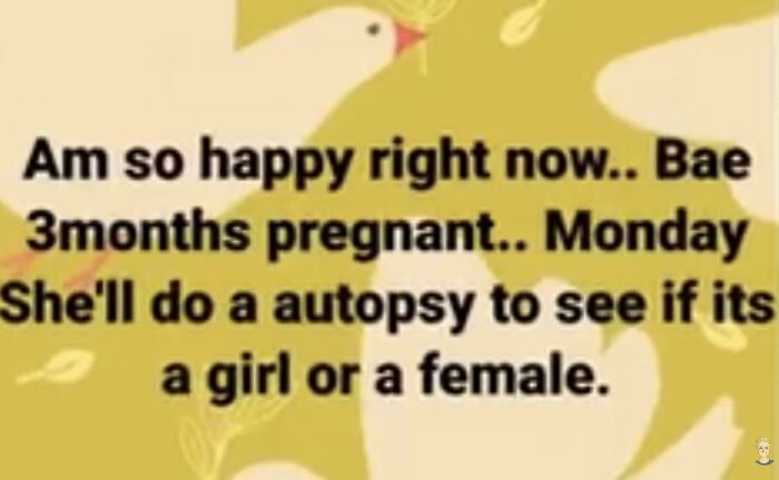 50 Times People Spotted Incorrect But Hilarious English Texts, They Just Had To Share Them In This Group 50 Times People Spotted Incorrect But Hilarious English Texts, They Just Had To Share Them In This Group