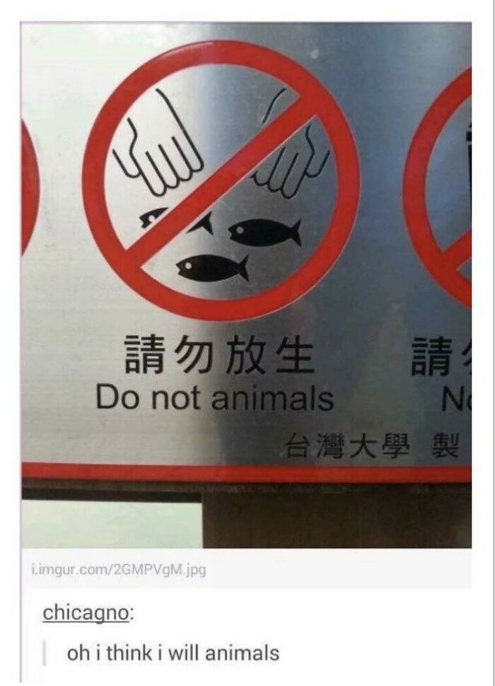 50 Times People Spotted Incorrect But Hilarious English Texts, They Just Had To Share Them In This Group 50 Times People Spotted Incorrect But Hilarious English Texts, They Just Had To Share Them In This Group