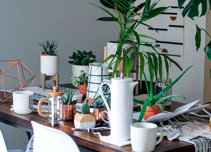 People Who Live Alone Share 30 Underrated Advantages Of Doing So People Who Live Alone Share 30 Underrated Advantages Of Doing So