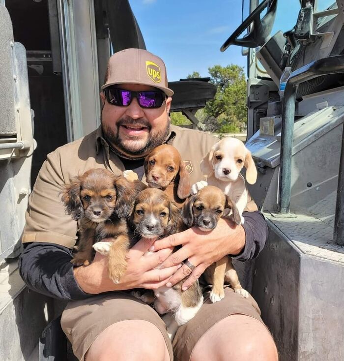 Turns Out, UPS Drivers Have A Facebook Group About Dogs They Meet On Their Routes, And It Will Make Your Day (30 New Pics) Turns Out, UPS Drivers Have A Facebook Group About Dogs They Meet On Their Routes, And It Will Make Your Day (30 New Pics)