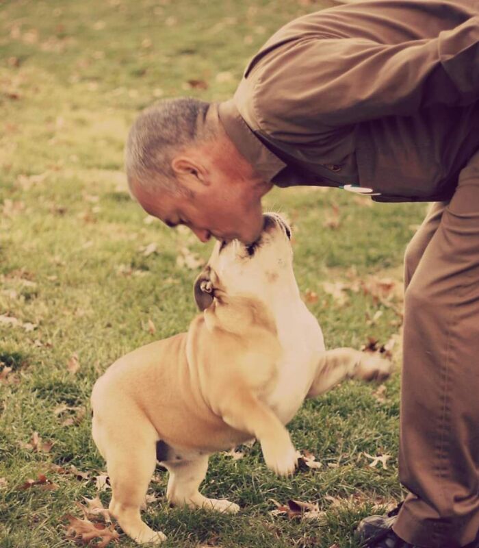 Turns Out, UPS Drivers Have A Facebook Group About Dogs They Meet On Their Routes, And It Will Make Your Day (30 New Pics) Turns Out, UPS Drivers Have A Facebook Group About Dogs They Meet On Their Routes, And It Will Make Your Day (30 New Pics)