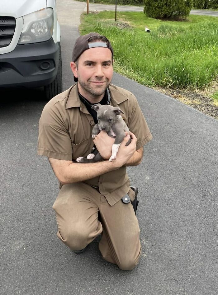 Turns Out, UPS Drivers Have A Facebook Group About Dogs They Meet On Their Routes, And It Will Make Your Day (30 New Pics) Turns Out, UPS Drivers Have A Facebook Group About Dogs They Meet On Their Routes, And It Will Make Your Day (30 New Pics)