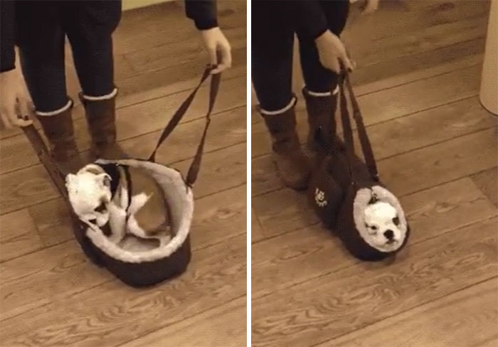 People Share 50 Of The Coolest Product Designs People Share 50 Of The Coolest Product Designs