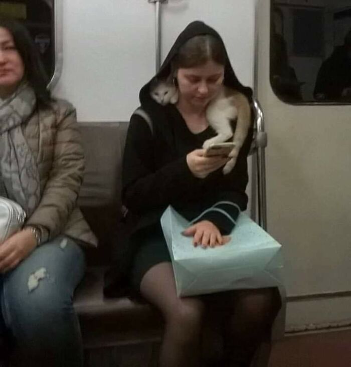 50 Times People Spotted Such Strange Things On The Subway, They Had To Take A Photo (New Pics) 50 Times People Spotted Such Strange Things On The Subway, They Had To Take A Photo (New Pics)