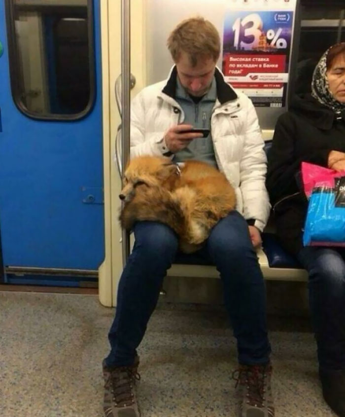 50 Times People Spotted Such Strange Things On The Subway, They Had To Take A Photo (New Pics) 50 Times People Spotted Such Strange Things On The Subway, They Had To Take A Photo (New Pics)