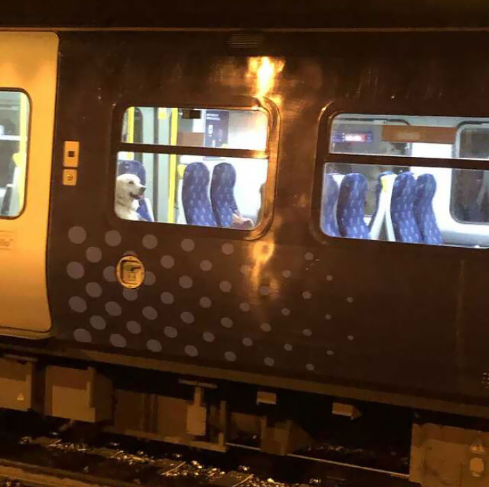 50 Times People Spotted Such Strange Things On The Subway, They Had To Take A Photo (New Pics) 50 Times People Spotted Such Strange Things On The Subway, They Had To Take A Photo (New Pics)