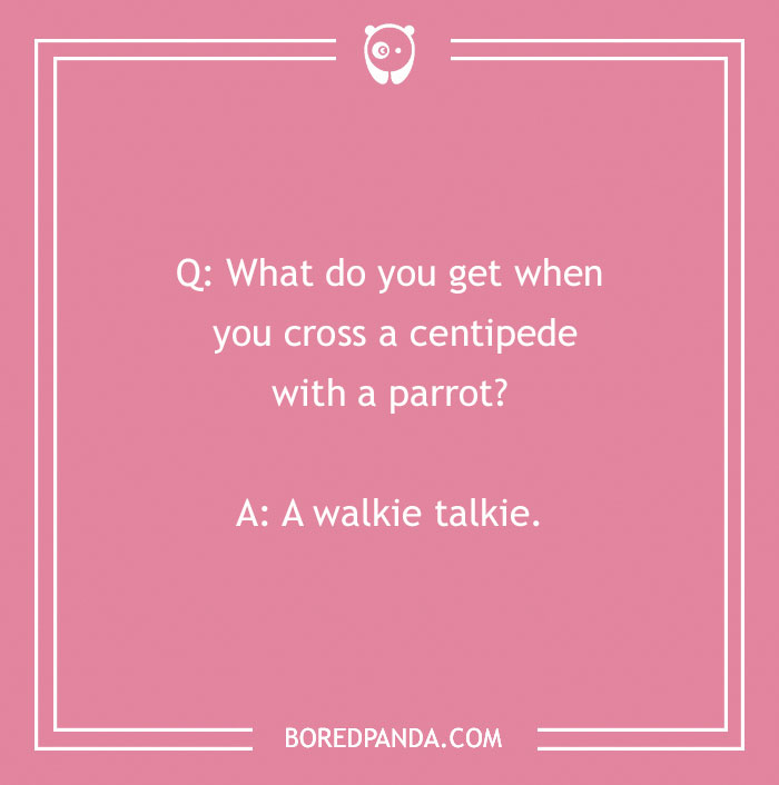 Bad Puns That Are Deliciously Funny