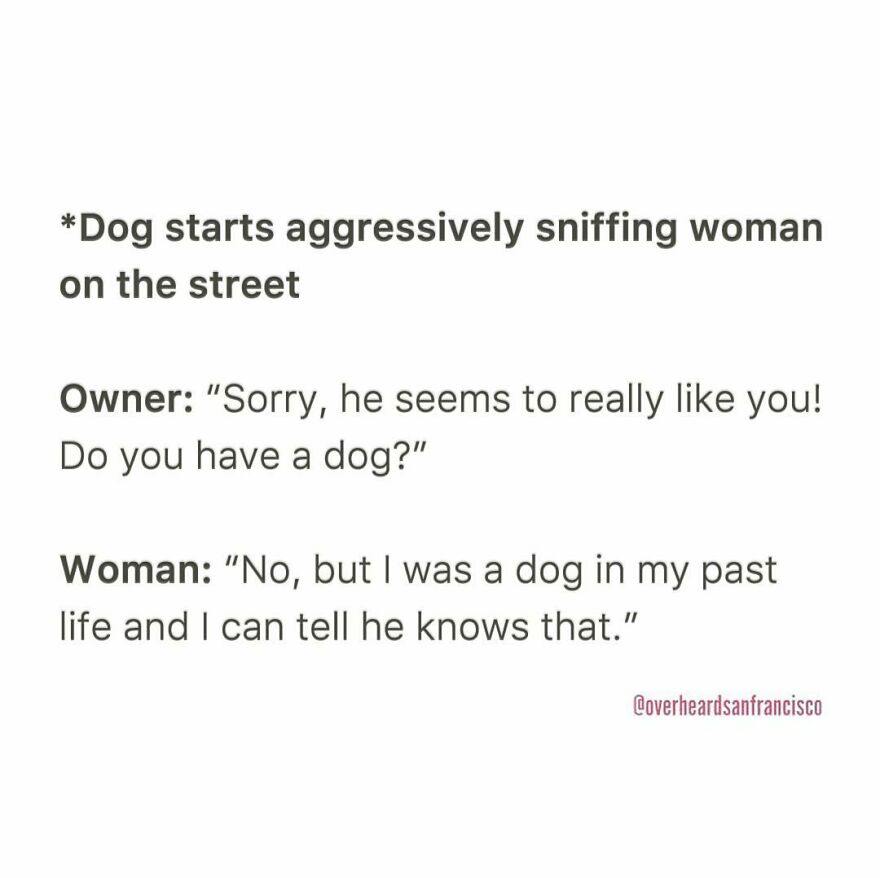 50 Hilarious Private Conversations People Overheard In San Francisco And Just Had To Share 50 Hilarious Private Conversations People Overheard In San Francisco And Just Had To Share