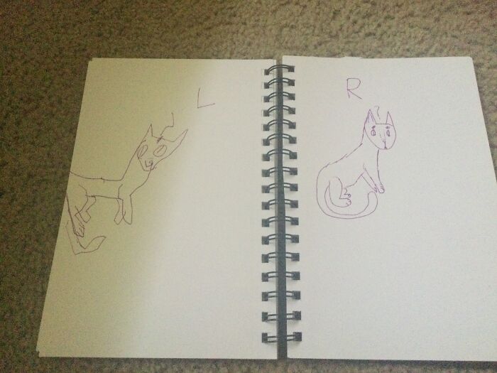 Hey Pandas, Draw The Same Picture With Your Dominant And Non-Dominant Hand (Closed)