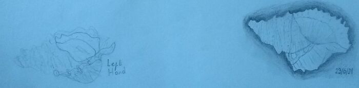 Hey Pandas, Draw The Same Picture With Your Dominant And Non-Dominant Hand (Closed)