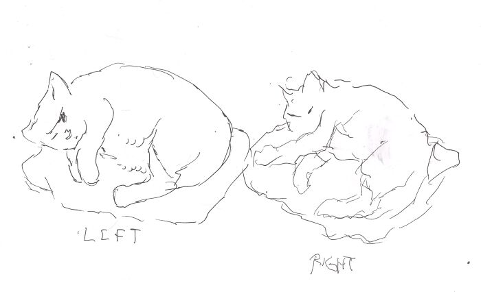 Hey Pandas, Draw The Same Picture With Your Dominant And Non-Dominant Hand (Closed)