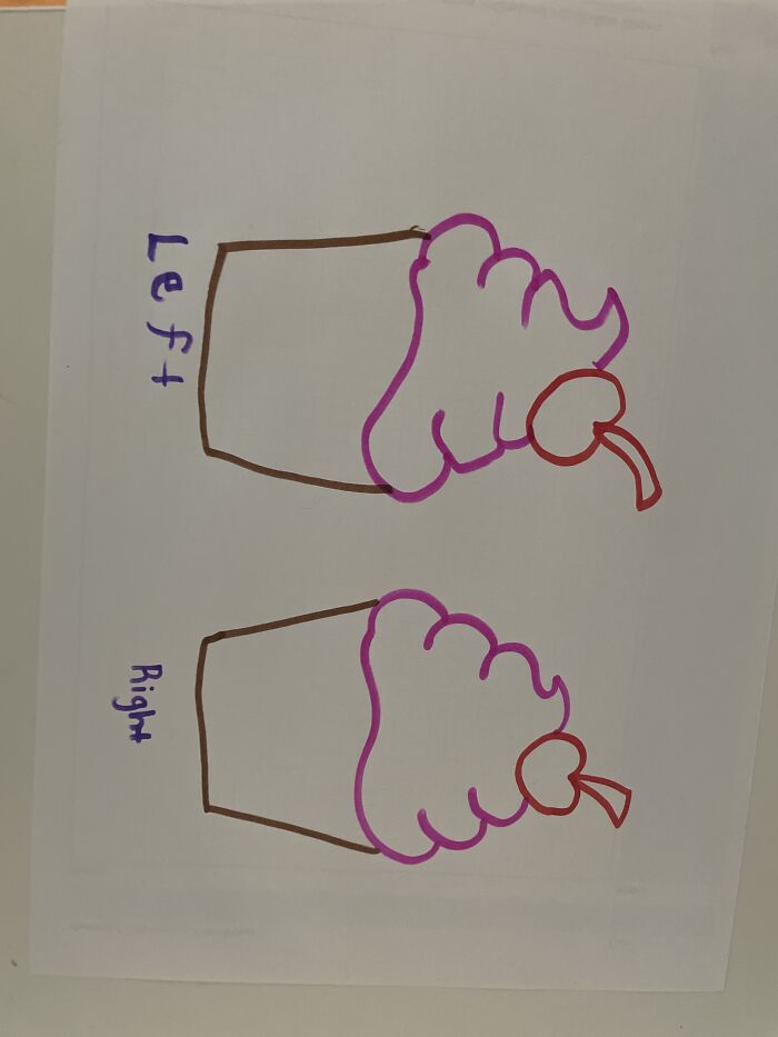 Hey Pandas, Draw The Same Picture With Your Dominant And Non-Dominant Hand (Closed) Hey Pandas, Draw The Same Picture With Your Dominant And Non-Dominant Hand (Closed)