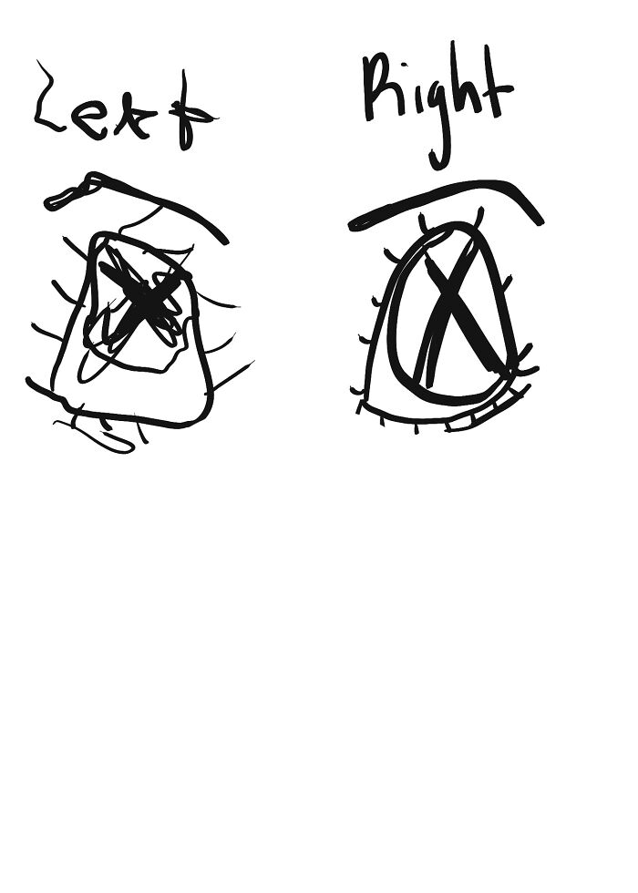 Hey Pandas, Draw The Same Picture With Your Dominant And Non-Dominant Hand (Closed)