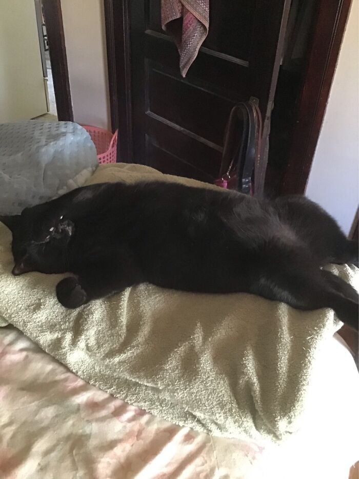 Hey Pandas, Post A Picture Of The Cutest Pet (Closed) Hey Pandas, Post A Picture Of The Cutest Pet (Closed)