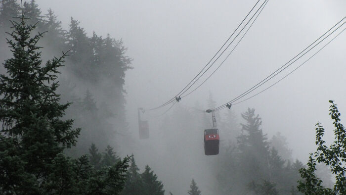 Hey Pandas, Post Fog Pictures You’ve Taken (Closed) Hey Pandas, Post Fog Pictures You’ve Taken (Closed)