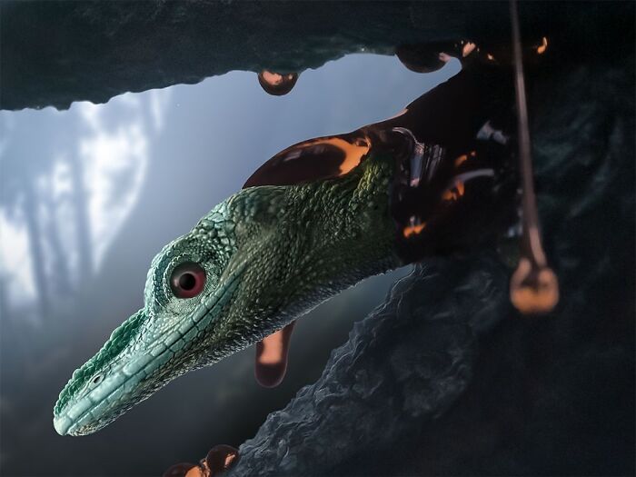 Hey Pandas, What Is Your Favorite Dinosaur? (Closed) Hey Pandas, What Is Your Favorite Dinosaur? (Closed)