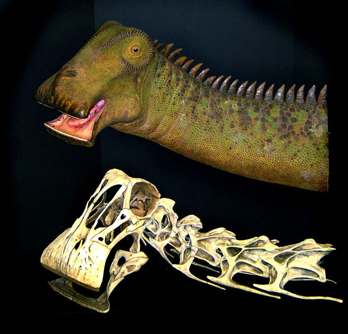 Hey Pandas, What Is Your Favorite Dinosaur? (Closed) Hey Pandas, What Is Your Favorite Dinosaur? (Closed)