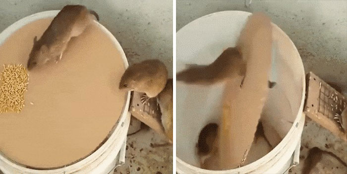 50 Times People Had Such Wild Solutions To Their Problems, They Were Celebrated In The ‘Redneck Engineers’ Group (New Pics)