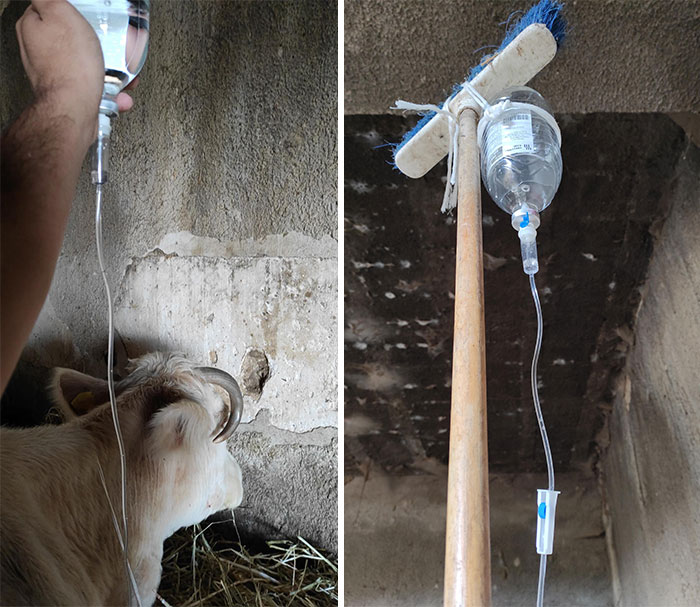 50 Times People Had Such Wild Solutions To Their Problems, They Were Celebrated In The ‘Redneck Engineers’ Group (New Pics)