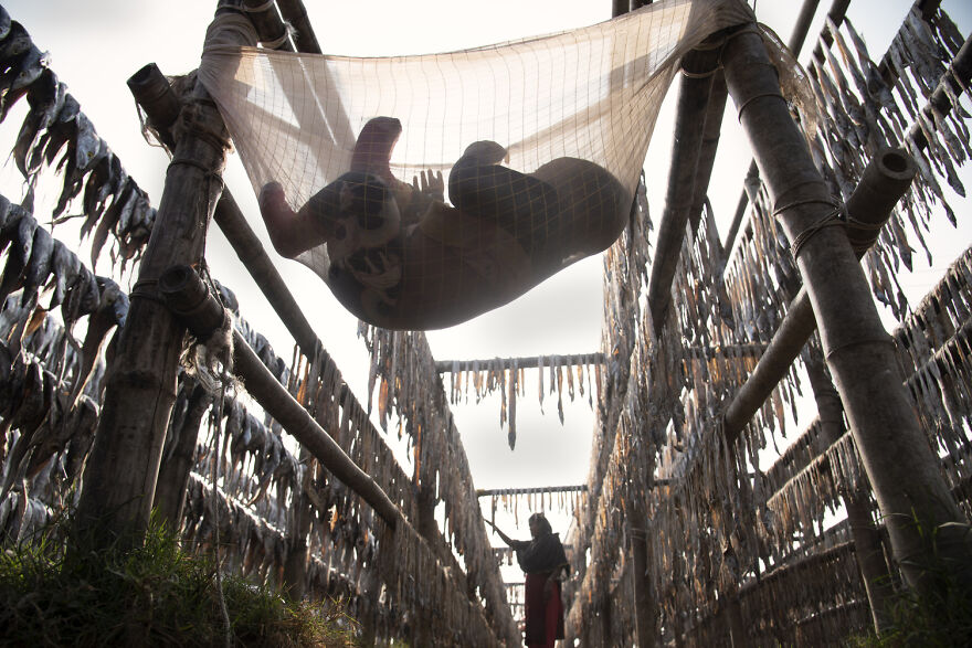 The Winners Of “The Environmental Photographer Of The Year 2021” Have Been Announced (26 Pics) The Winners Of “The Environmental Photographer Of The Year 2021” Have Been Announced (26 Pics)