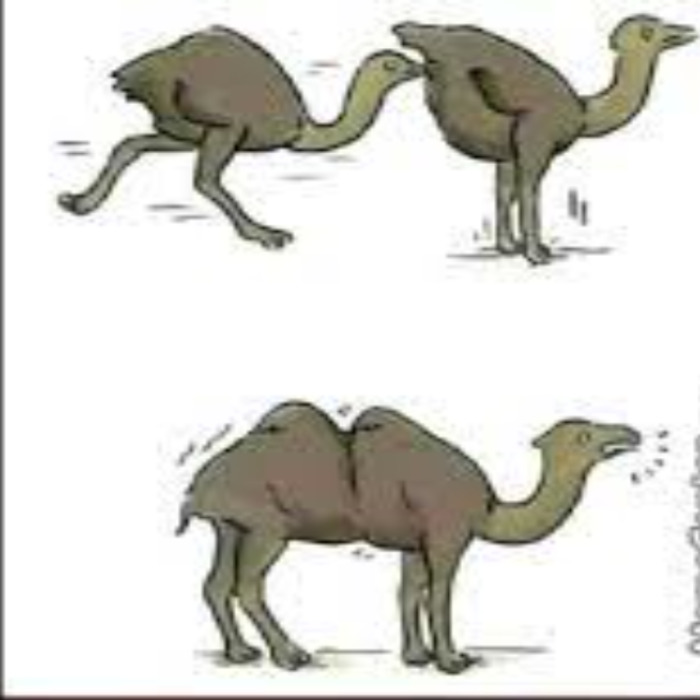 Hey Pandas, Post All Of Your Cringe Pics Hey Pandas, Post All Of Your Cringe Pics