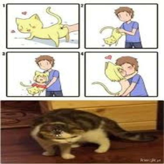 Hey Pandas, Post All Of Your Cringe Pics Hey Pandas, Post All Of Your Cringe Pics