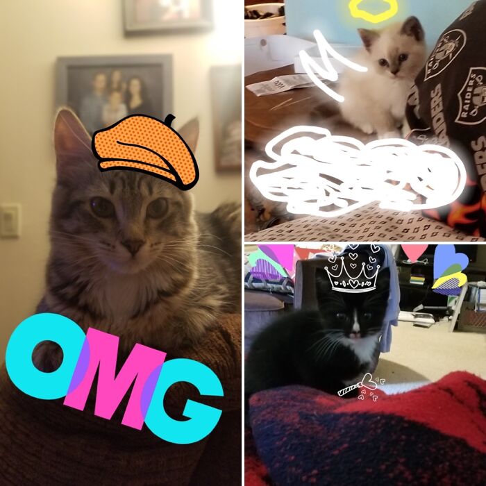 Hey Pandas, Post All Of Your Cringe Pics Hey Pandas, Post All Of Your Cringe Pics