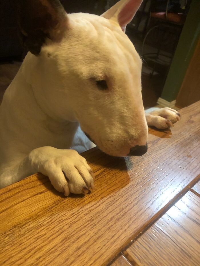 Hey Pandas, Post All Of Your Cringe Pics Hey Pandas, Post All Of Your Cringe Pics