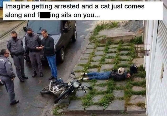 50 Times The Universe Decided To Troll One Person Specifically And It Resulted In These Funny Pics 50 Times The Universe Decided To Troll One Person Specifically And It Resulted In These Funny Pics