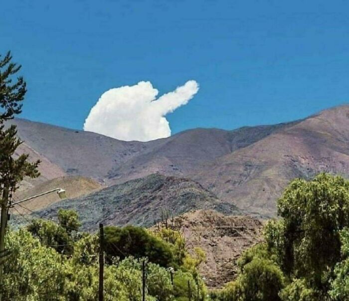 50 Times The Universe Decided To Troll One Person Specifically And It Resulted In These Funny Pics 50 Times The Universe Decided To Troll One Person Specifically And It Resulted In These Funny Pics