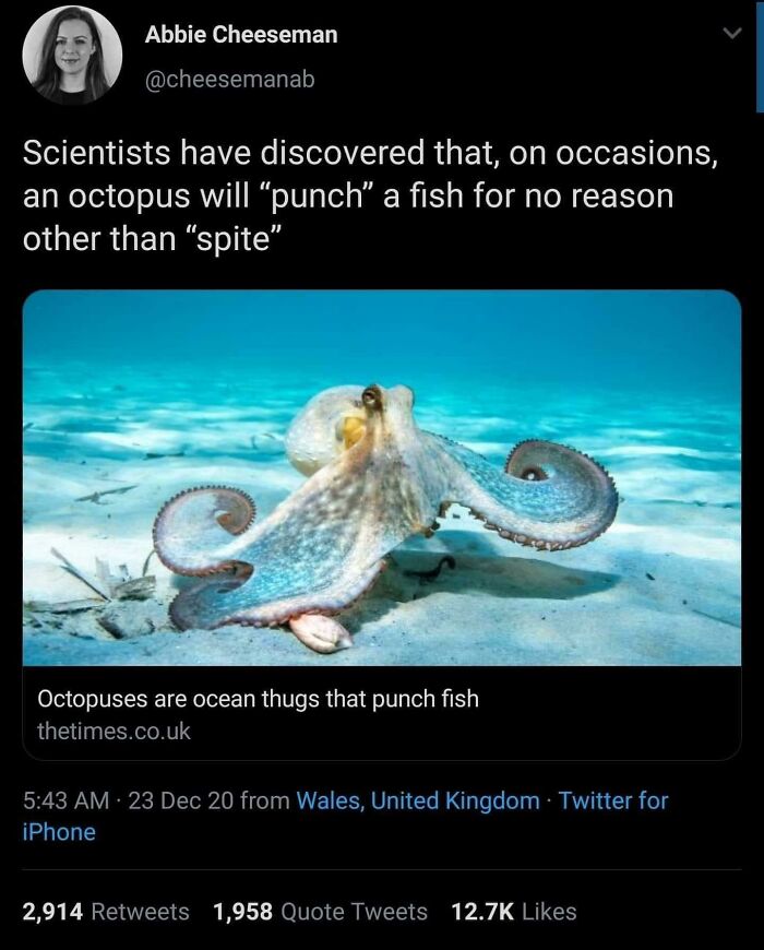 50 Times The Universe Decided To Troll One Person Specifically And It Resulted In These Funny Pics 50 Times The Universe Decided To Troll One Person Specifically And It Resulted In These Funny Pics