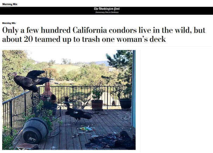 50 Times The Universe Decided To Troll One Person Specifically And It Resulted In These Funny Pics 50 Times The Universe Decided To Troll One Person Specifically And It Resulted In These Funny Pics