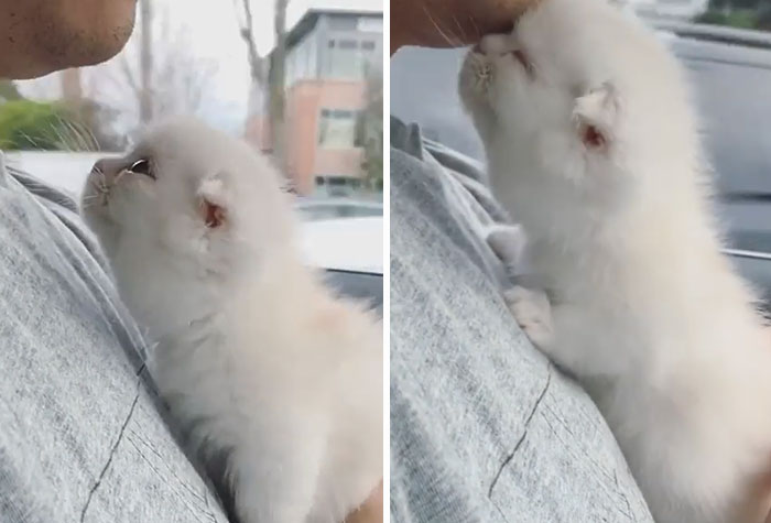 &#8220;Tiny Units&#8221; Online Group Is Dedicated To Everything That Comes In Cute Sizes (50 Pics)