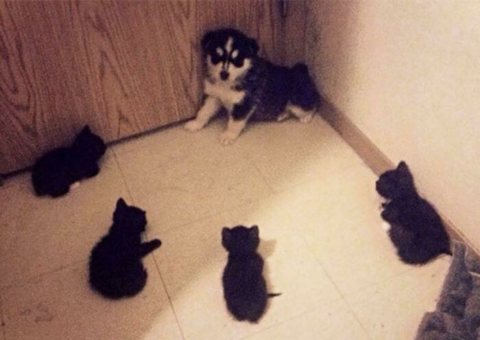 &#8220;Tiny Units&#8221; Online Group Is Dedicated To Everything That Comes In Cute Sizes (50 Pics)