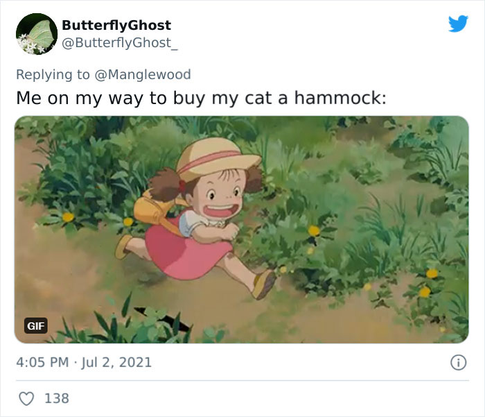 Twitter User Shared 14 Historical Photos Of Cats Chilling In Their Tiny Hammocks Aboard Naval Ships